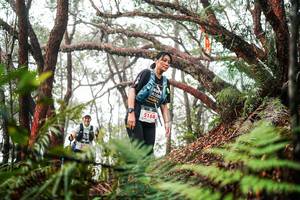 BIB: 
                            <button type="button" onclick="openModal(26299636)" class="btn btn-primary btn-sm float-right btn-popup" data-toggle="modal" data-target=".modal-high-quality">
                        <i class="fas fa-shopping-cart"></i> Add to Cart
                    </button>
                                            <button type="button" onclick="isThisMe(26299636, true)" class="btn btn-success btn-sm float-right btn-popup btn-isme hidden" data-toggle="tooltip" data-placement="bottom" title="นี่คือรูปของคุณใช่ไหม คลิกที่นี่เพื่อเอาเข้าอัลบั้ม">
                        <i class="fas fa-plus"></i> Add to album
                    </button>
                    <button type="button" onclick="isThisMe(26299636, false)" class="btn btn-warning btn-sm float-right btn-popup btn-isnotme hidden">
                        <i class="fas fa-ban"></i> Remove from album
                    </button>